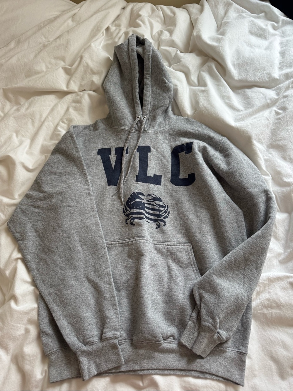 Grey VLC hoodie, size M